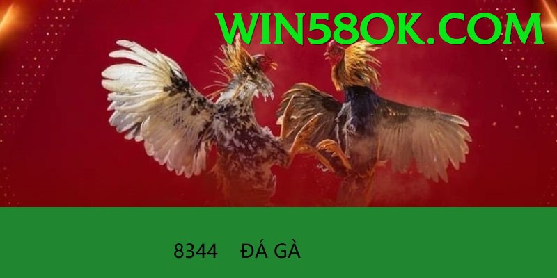 Đá Gà Trực Tiếp - Ưu đãi đặc biệt - Tùy chỉnh nhân vật